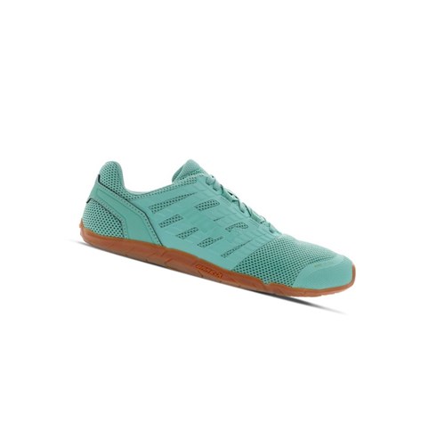 Chaussures D'entraînement Naturelles Inov-8 Bare-xf 210 V3 Femme Vert | 1267-OCKJW